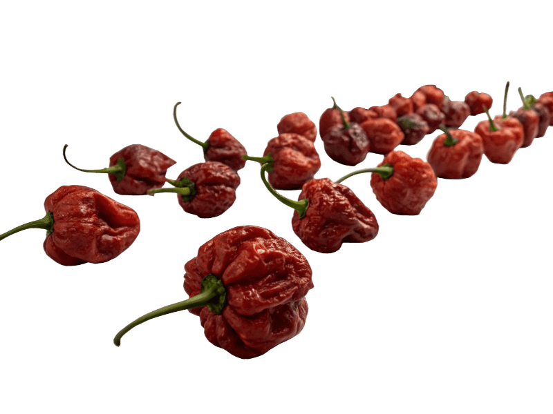 pepper